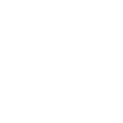 icon home